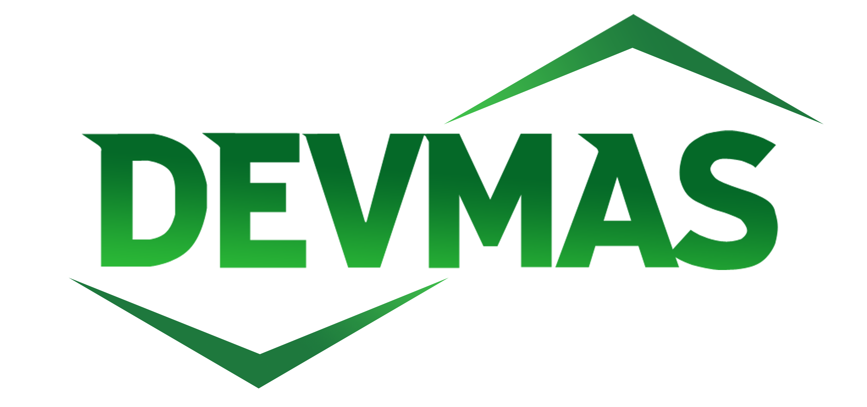 DEVMAS B.V.🏗️Building.Renovation.Reconstruction - Steenwijk